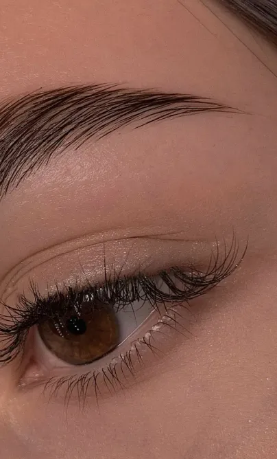 Cejas laminadas y peinadas sobre unos ojos marrones.